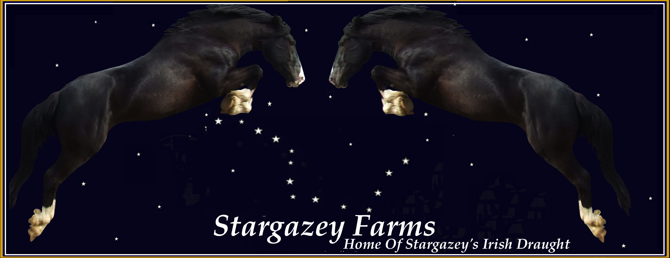 Stargazey Farms
